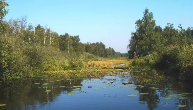 De Weerribben en Pantropica