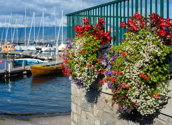 Busreis Franse Alpen, 9 dagen Chambéry