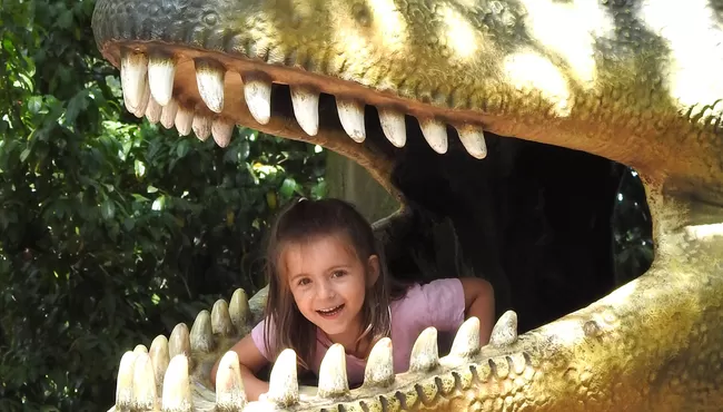 Dierenpark Amersfoort 