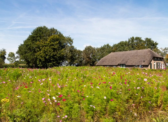 Busreis Twente, 5 dagen Ootmarsum