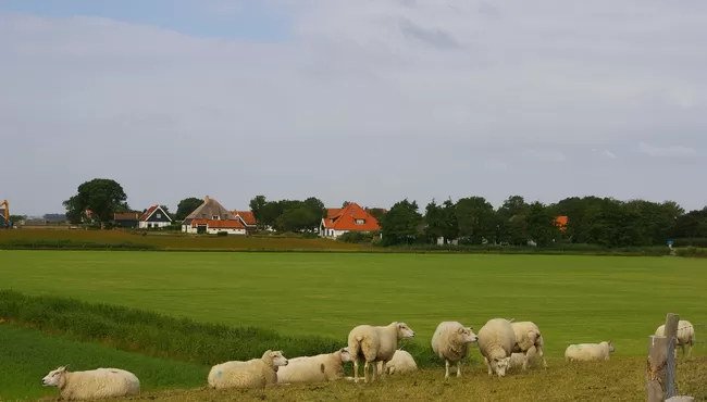 Dagje Texel